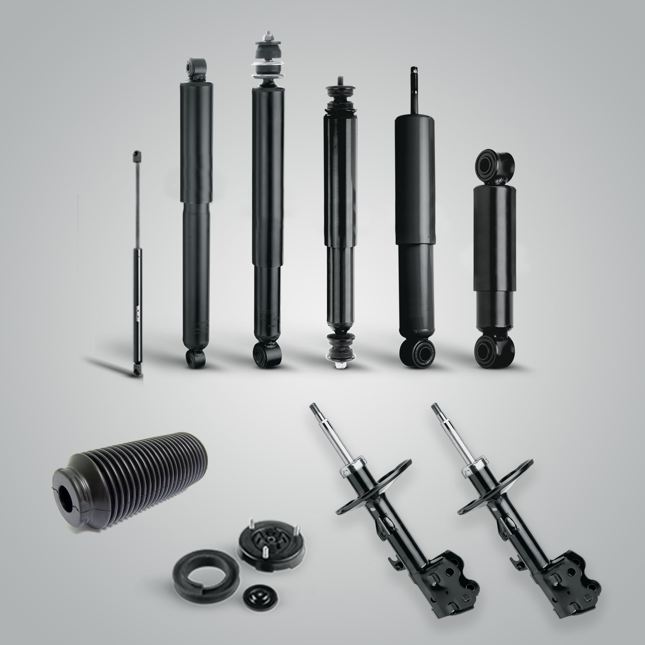 Shock Absorber and Struts