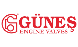 gunes